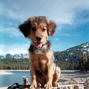 Meet your Posher, Jesse